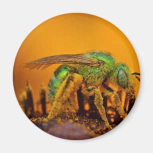 Iridescent Green Sweat Bees Magnet