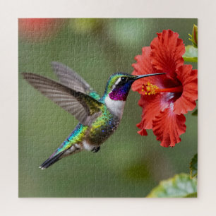 Iridescent Hummingbird Hibiscus Flower Portrait Jigsaw Puzzle