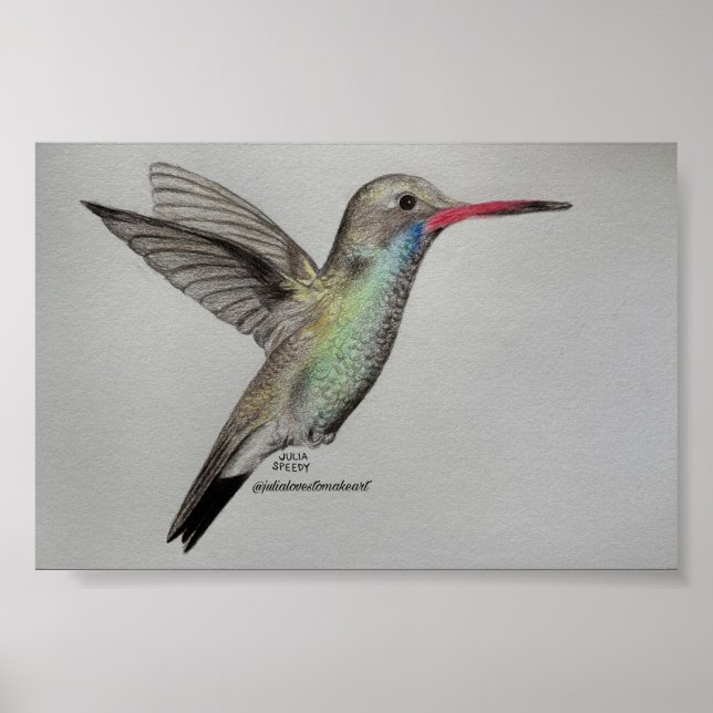 Iridescent Hummingbird | Pencil Drawing Art Print (Front)