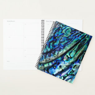 Iridescent Paua Abalone Shell 2026 Planner