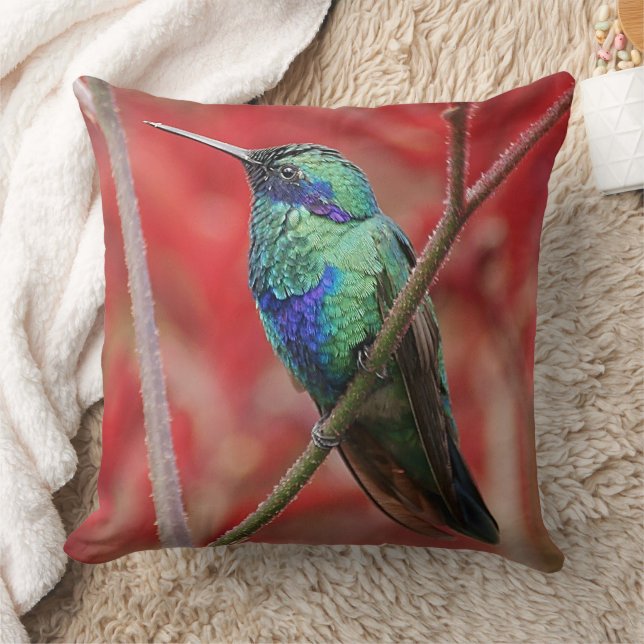 Iridescent Shine Cushion (Blanket)