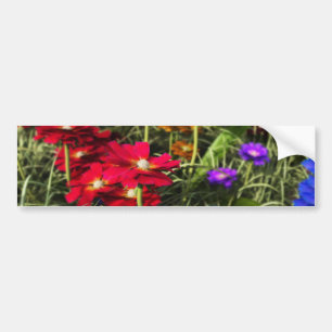 Iridescent Spring Bumper Sticker