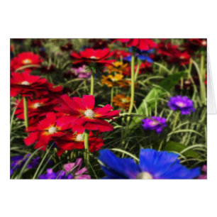 Iridescent Spring Card