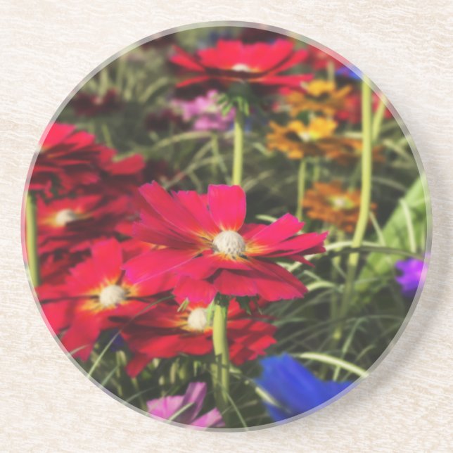 Iridescent Spring Coaster (Front)