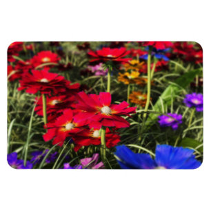 Iridescent Spring Flexible Magnet