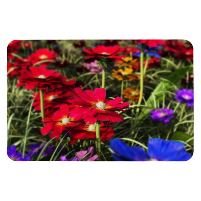 Iridescent Spring Flexible Magnet (Horizontal)