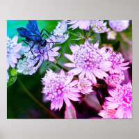 Iridescent Wasp On Flowers Abstract Colours