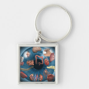 Iridology Key Ring