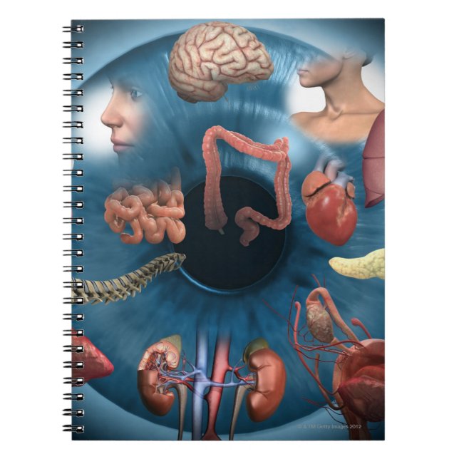 Iridology Spiral Notebook (Front)