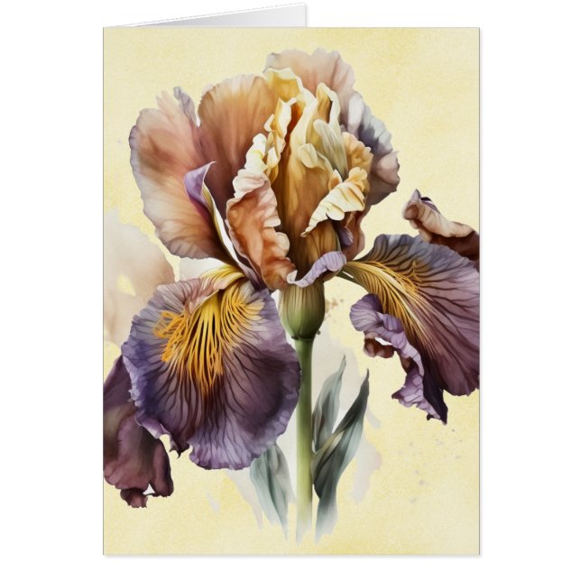 Iris (Front)