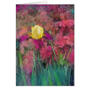 Iris