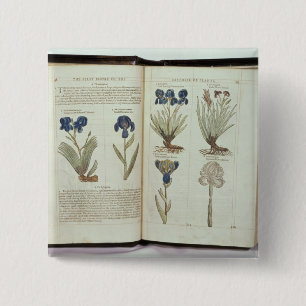 Iris 15 Cm Square Badge