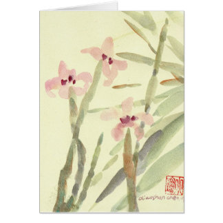 Iris-2