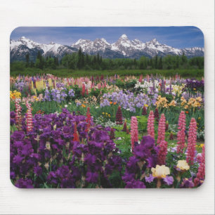 Iris and Lupine garden and Teton Range, Mouse Pad