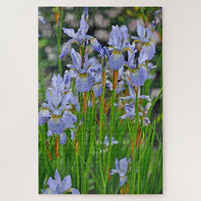 Iris beauties jigsaw puzzle (Vertical)