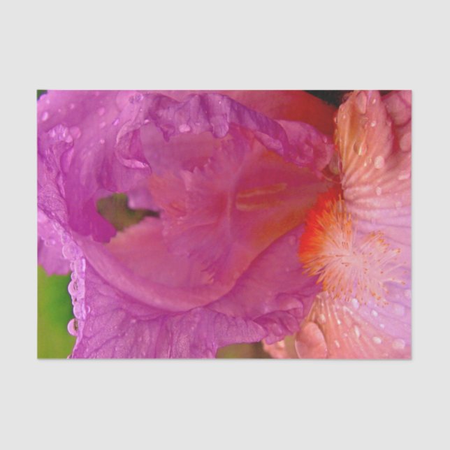 Iris Beauty-Tissue Wrapping Paper (Front)