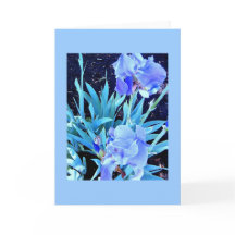 Iris Blank Greeting Card