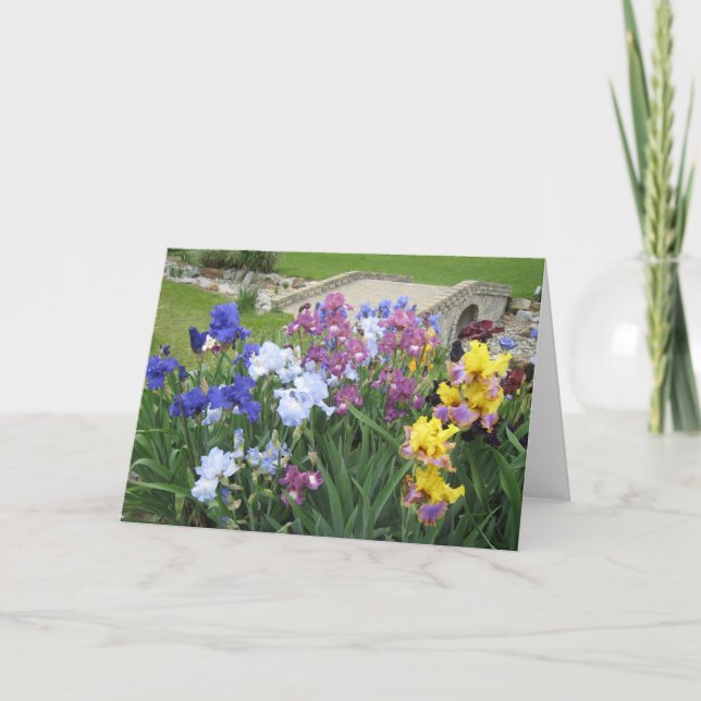 iris brook large blank note card (Front)