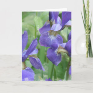 Iris Bulbs Greeting Card