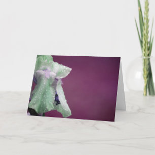 Iris Card