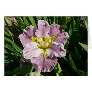 IRIS CARD - DUREL LATECOMER - Blank Card
