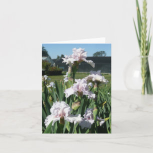 IRIS CARD - STAWBERRY FROSTING - Blank Note Card