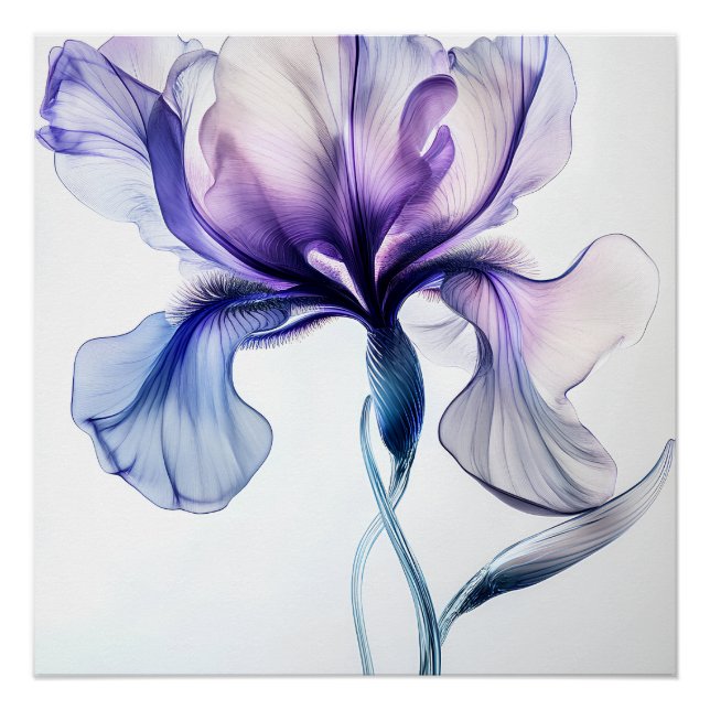 Iris Delicate in Flowers Poster (Front)