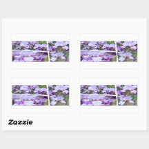 Iris ‘Eagle Flight’ [Rectangle Seal] 長方形シール