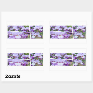 Iris ‘Eagle Flight’ [Rectangle Seal] 長方形シール Rectangular Sticker