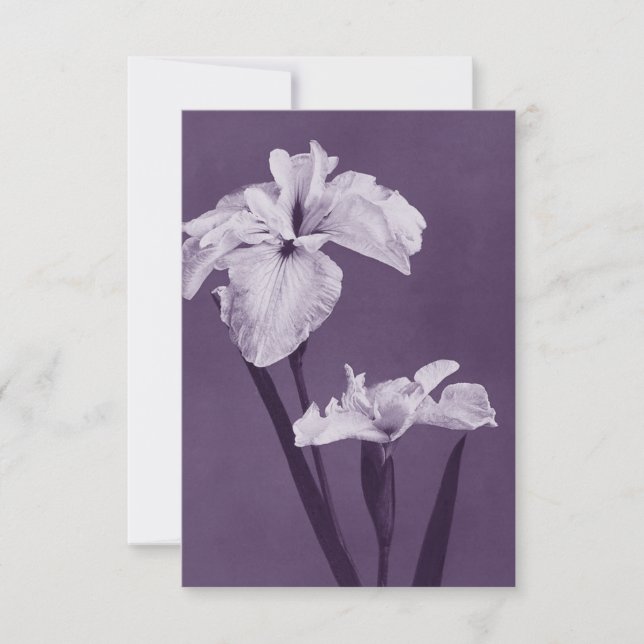 Iris Fine Art Thank You Card (Front)