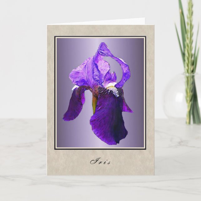 Iris - Floral Series Card (Front)