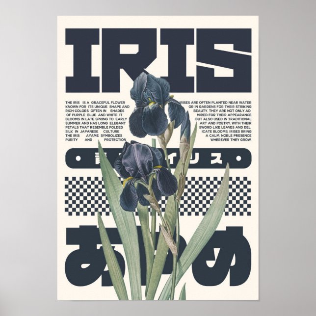 Iris Flower Botanical Art Print – Japanese Aesthet (Front)