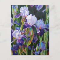 Iris Flower Garden