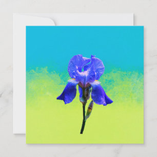 Iris flower  holiday card