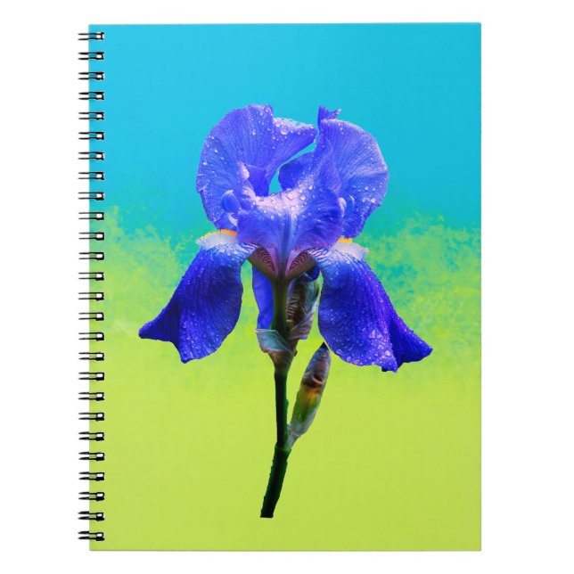 Iris flower  notebook (Front)