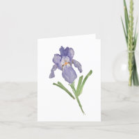 Iris Flower Painting