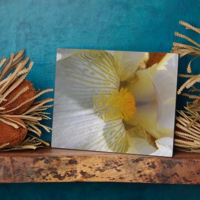 Iris Flower Photograph Plaque (Side)
