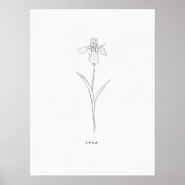Iris Flower Print (Front)