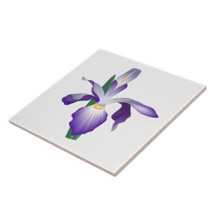 Iris Flower Tile