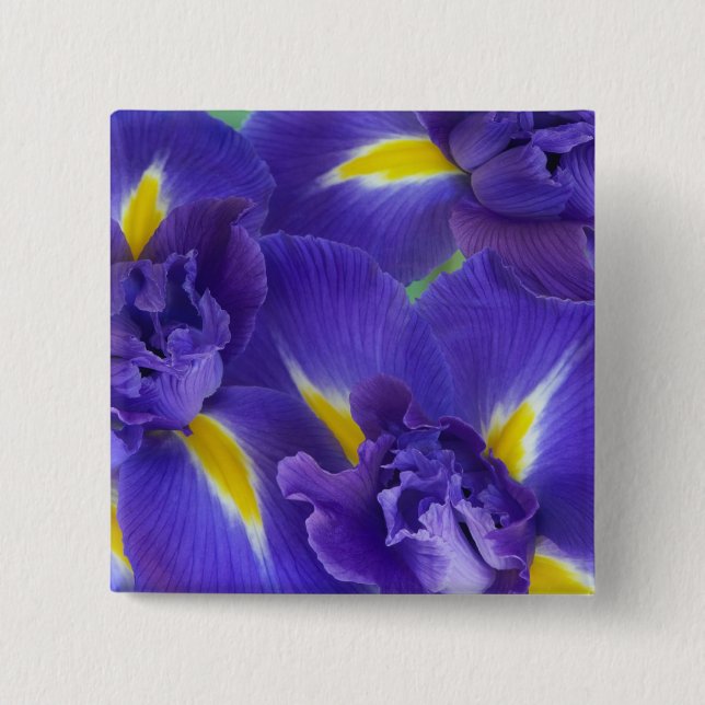 Iris flowers 15 cm square badge (Front)