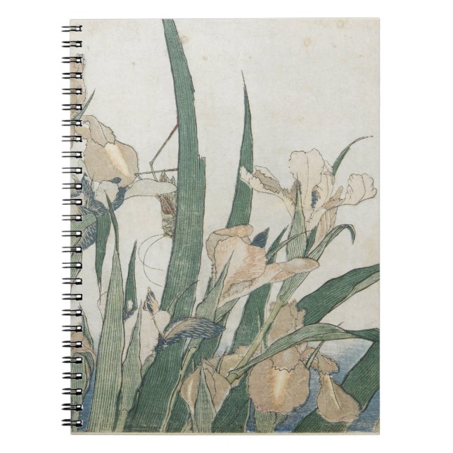 Iris Flowers and Grasshopper, c.1830-31 Notebook (Front)
