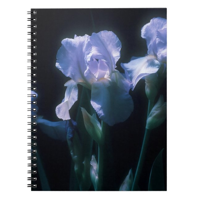 Iris Flowers at Twilight Notebook (Front)