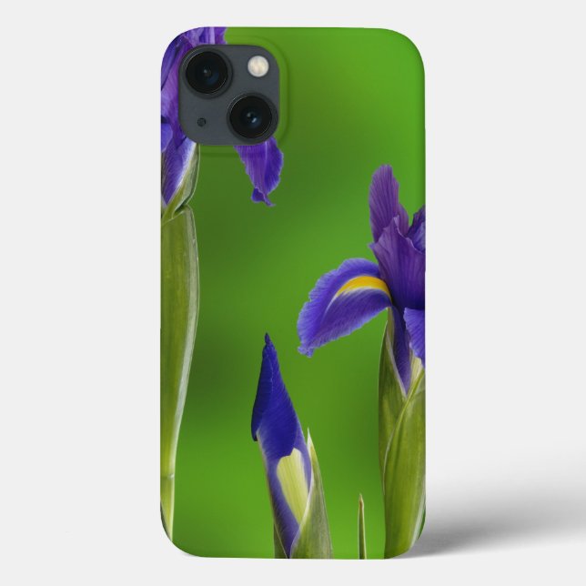 Iris Flowers Case-Mate iPhone Case (Back)