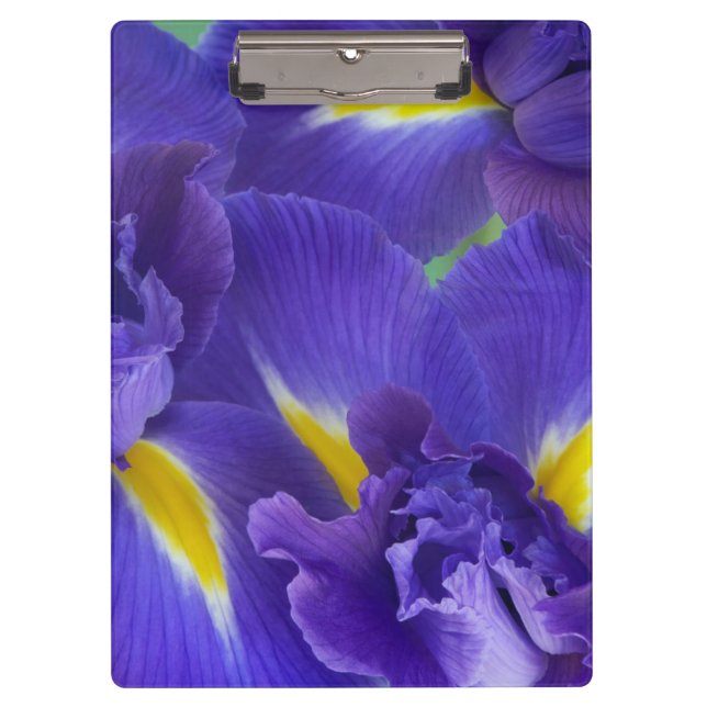 Iris flowers clipboard (Front)