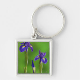 Iris Flowers Key Ring