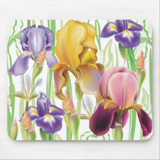 Iris Flowers Mouse Pad