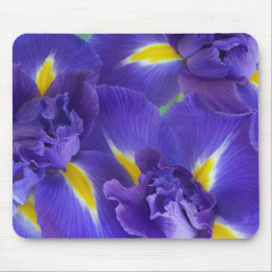 Iris flowers mouse pad