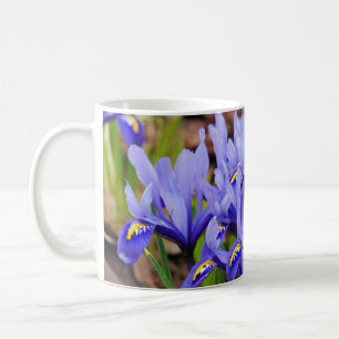 Iris Flowers Mug