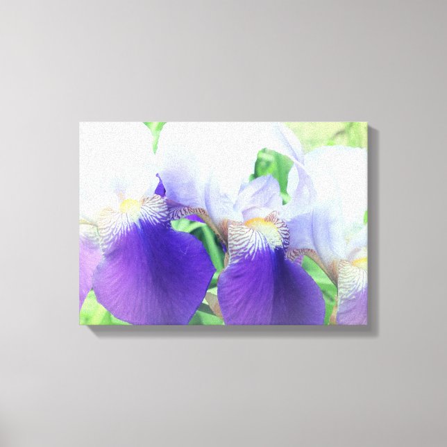 Iris Flowers Photography Canvas Print (Front)