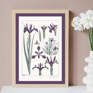 Iris French Botanical Verneuil Poster